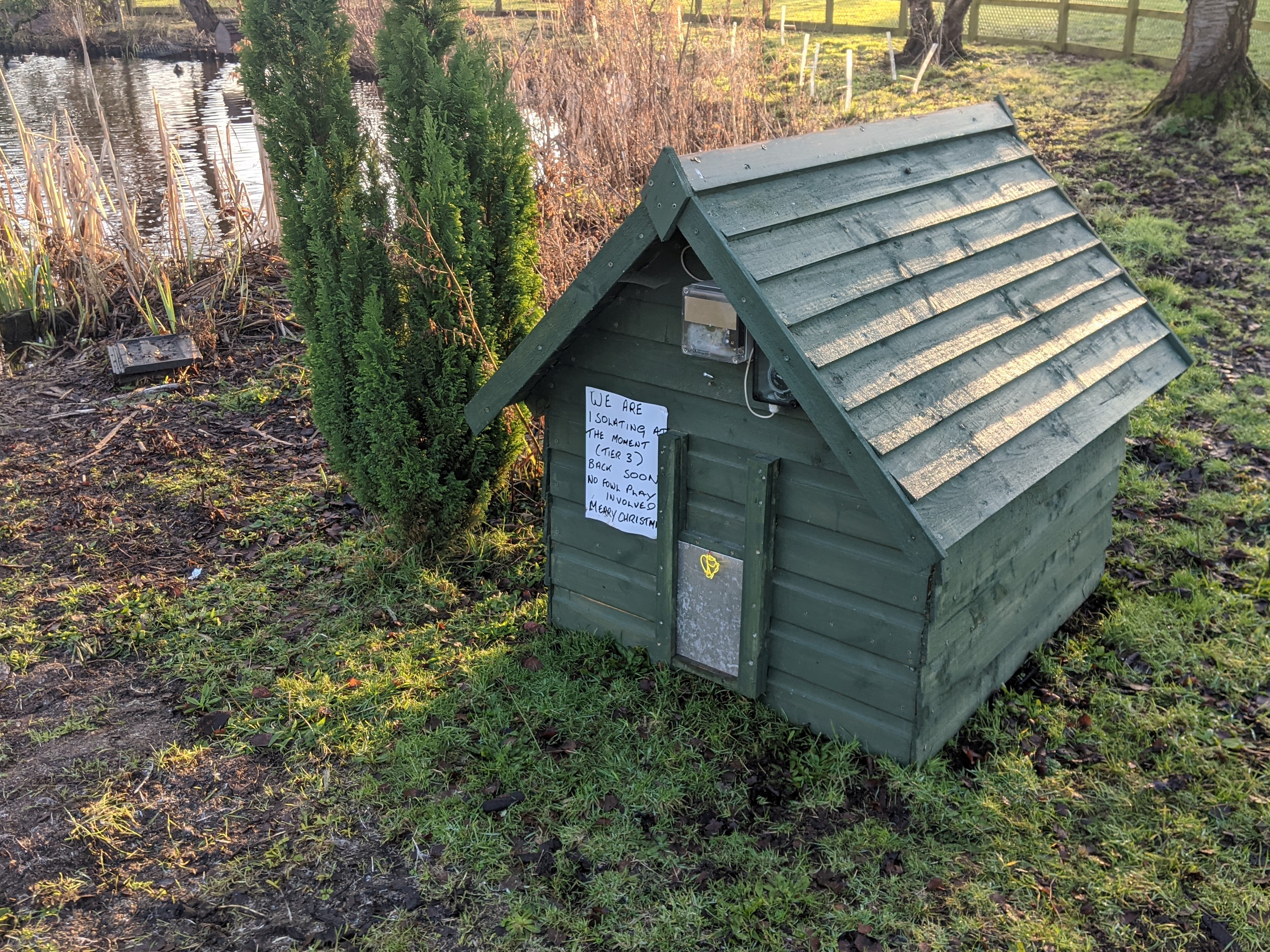 Empty hen coop by the pond, January 9th